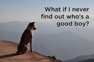 What if I never find out....