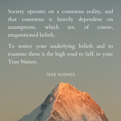 Tess Hughes - unquestioned beliefs