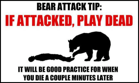 bear attack humor