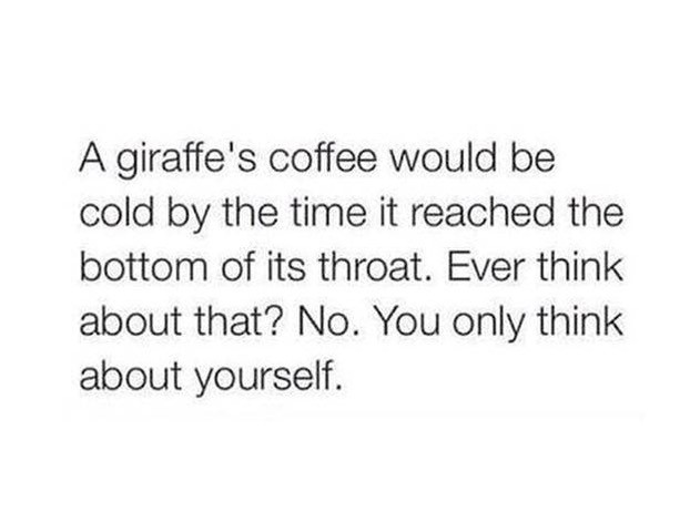 a giraffe's coffee