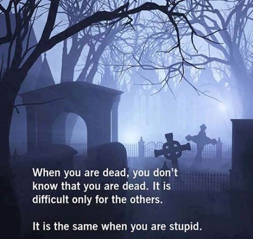 dead stupid