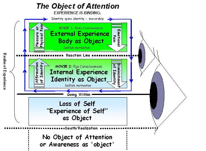 Going Within, The Object of Attention by Bob Cergol