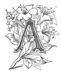 illustrated letter A