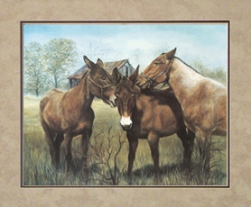 In one ear and in the other: three mules