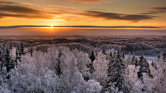 winter landscape in Karula National Park, Estonia