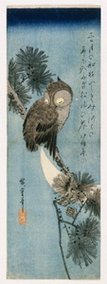 Owl on pine branch - Hiroshige