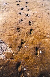 footprints in Vesuvius lava