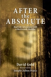 Cover of After the Absolute by David Gold