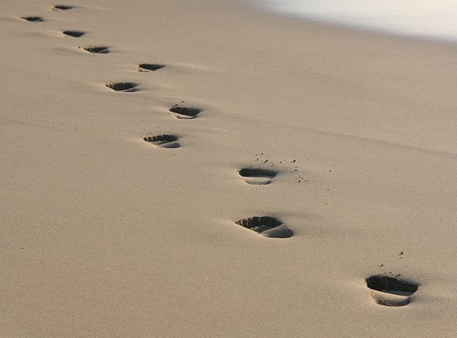 by IDS.photos from Tiverton, UK - Footsprints in the sand, CC BY-SA 2.0, https://commons.wikimedia.org/w/index.php?curid=25738176