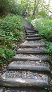 Steps on the path, Great Smoky Mountains National Park, USA