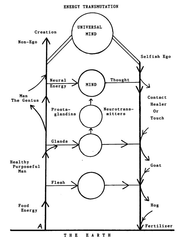 energy transmutation diagram