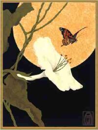 flower, moth, moon