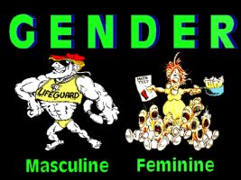 gender: masculine vs. feminine