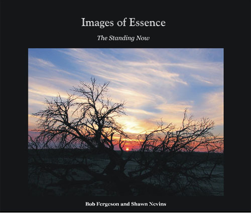 Cover of Images of Essence
