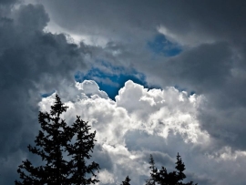 Clouds and trees. Photo by Bob Fergeson.