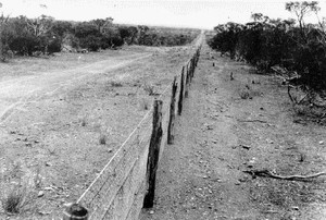 rabbit-proof fence in Western Australia